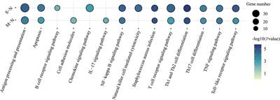 Comparative Analysis of Long Non-Coding RNA Expression and Immune Response in Mild and Severe COVID-19